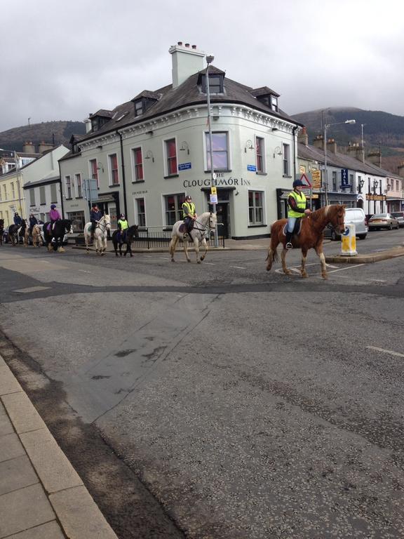 The Sands B&B Rostrevor Buitenkant foto